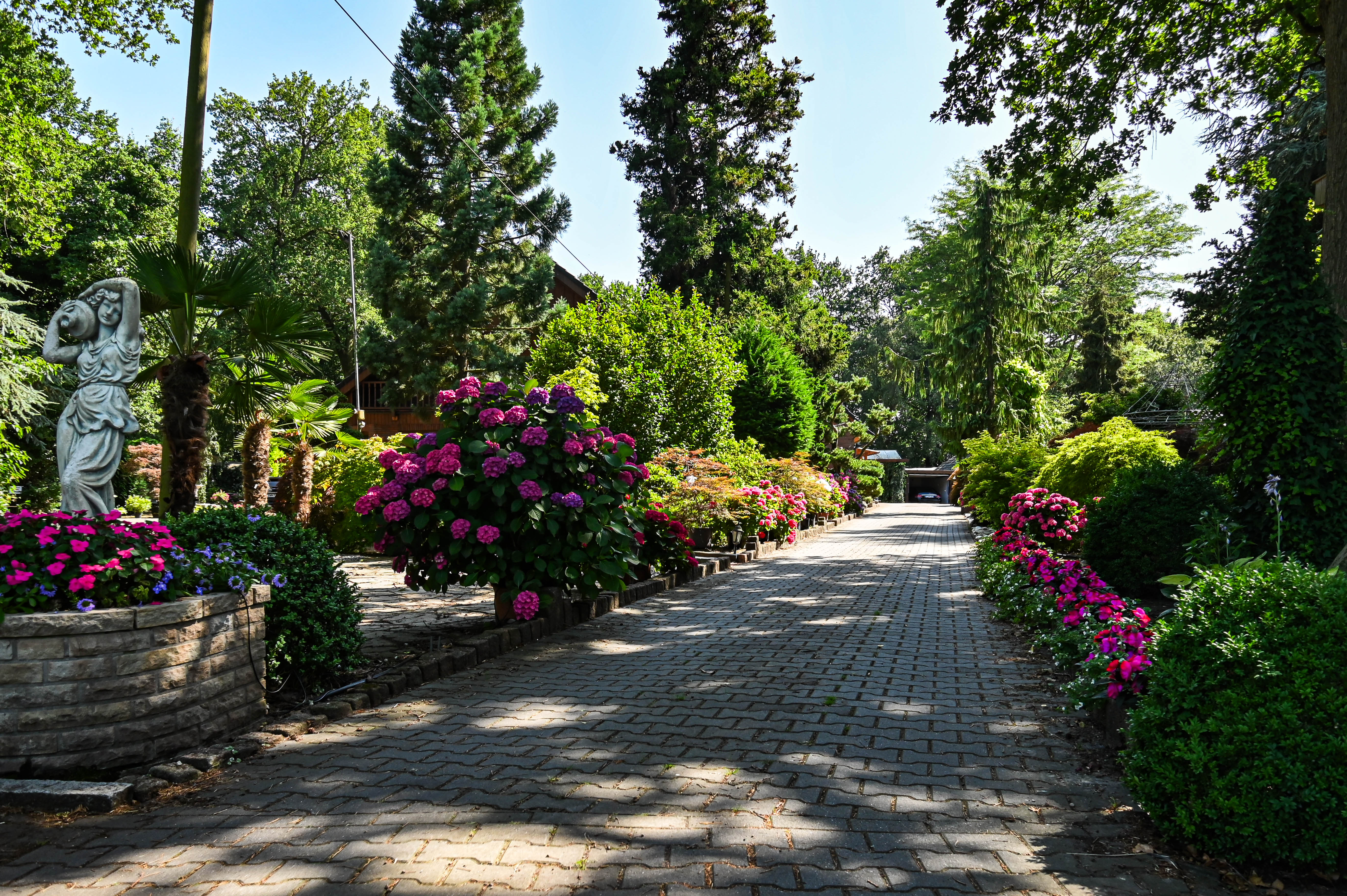 Gartenbau und Baumschule Schollau in Twist